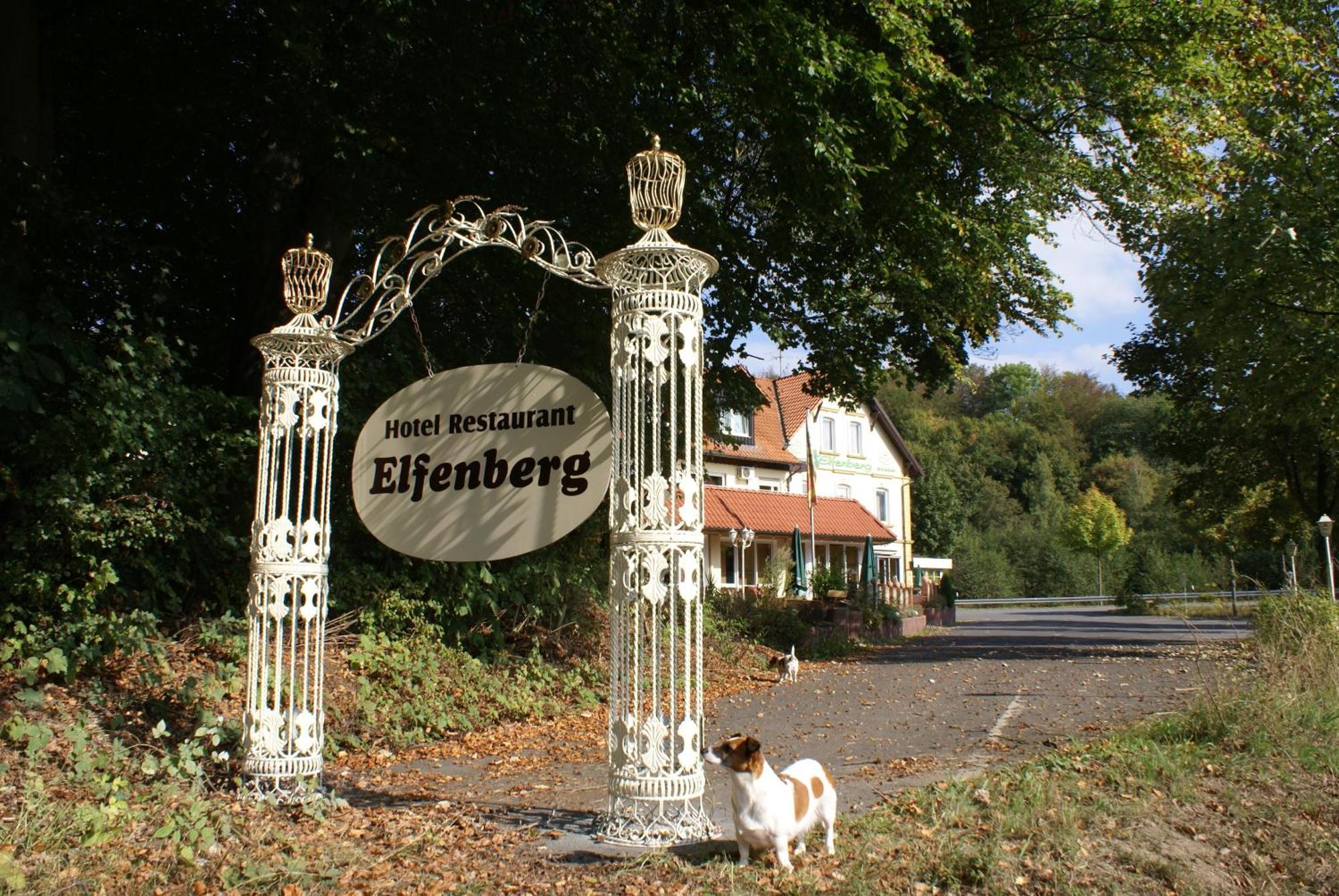 Hotel Elfenberg Schieder-Schwalenberg ภายนอก รูปภาพ