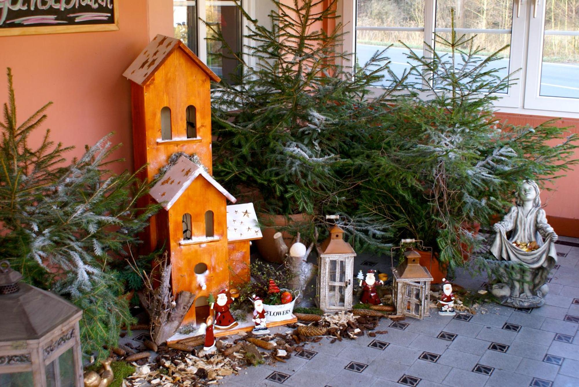 Hotel Elfenberg Schieder-Schwalenberg ภายนอก รูปภาพ